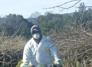 Worker in protective gear spraying pesticide in agricultural field