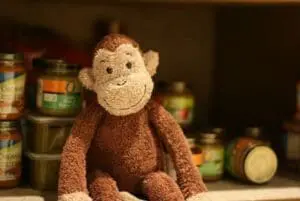 Stuffed monkey toy surrounded by organic food jars on a shelf