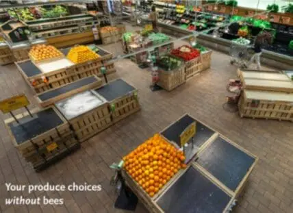 Whole Foods produce section with half the display removed to show impact of bee decline