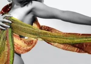 Woman's arm and torso with colorful fabric and natural plant materials for skincare