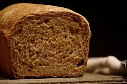 Slice of whole grain bread with visible air pockets showing interior crumb structure