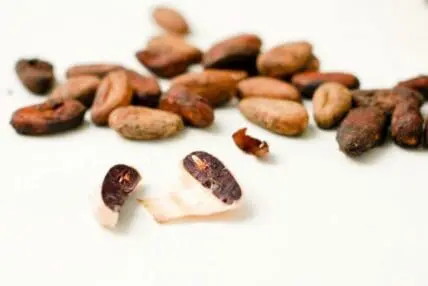 Cacao pods and cocoa beans on white surface