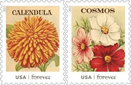 Two USA Forever stamps featuring vintage botanical illustrations of Calendula and Cosmos flowers.