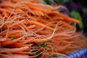 does carrot contain glutathione 8 Foods Containing the Highest Quantity of Carrot Nutritional Value per 100g,