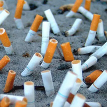 Discarded cigarette butts scattered on pavement