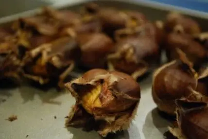 Roasted chestnuts with opened shells on a white plate