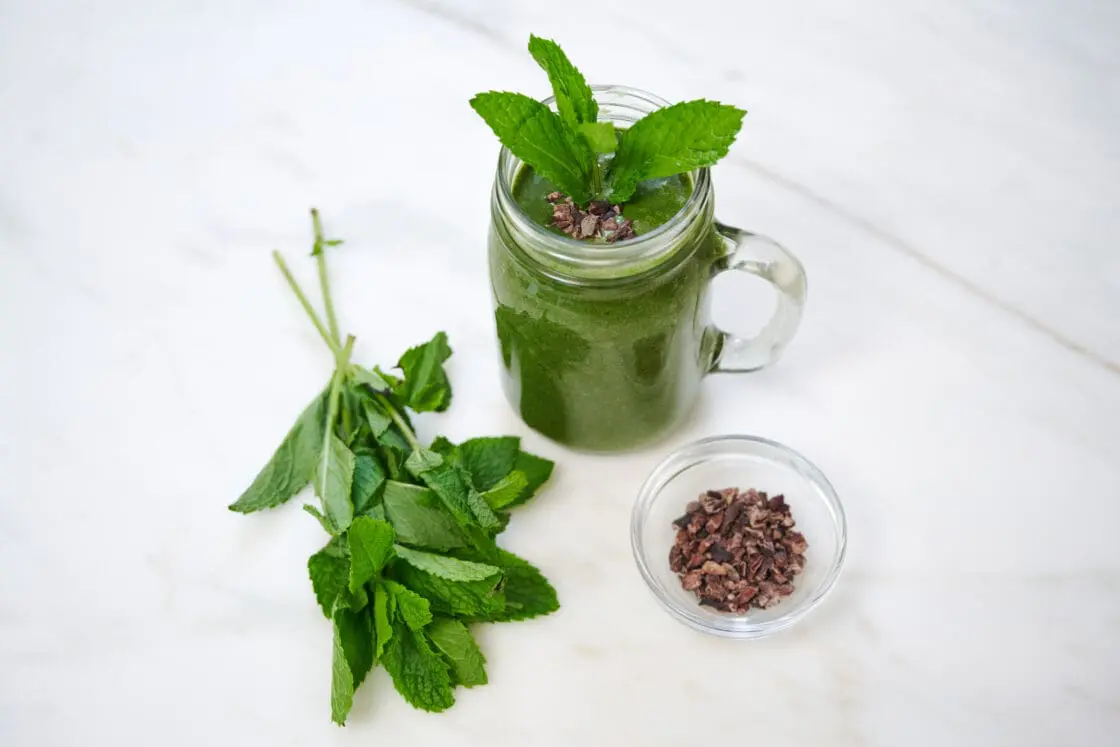 Image of a chocolate mint shake in a glass jar with fresh mint on top of it.