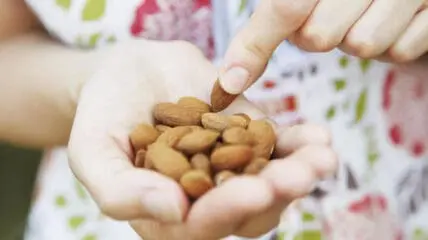eating almonds photo