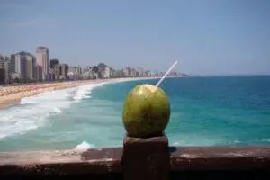 Fresh coconut with straw overlooking a coastal beach city and ocean