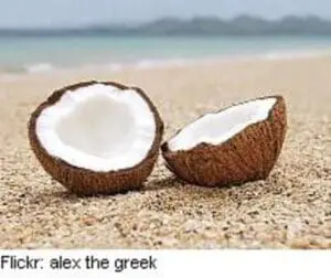 Two halves of a cracked coconut on a sandy beach