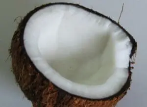 Halved coconut showing white flesh and interior cavity