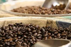Roasted coffee beans in a burlap scoop with additional beans in containers behind