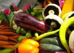 Colorful assorted fresh vegetables including eggplant, carrots, peppers, and mushrooms