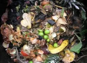 Close-up of a compost pile with food scraps including banana peels, apple cores, and vegetable waste