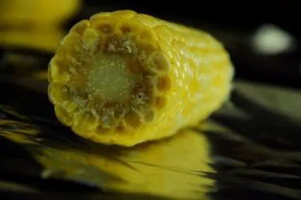 Close-up of corn on the cob with yellow kernels and silk strands