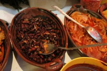 Bowls of prepared insects displayed for consumption