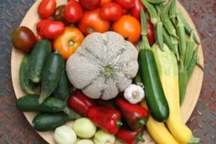 Assorted fresh vegetables arranged on a wooden plate including tomatoes, cucumbers, cauliflower