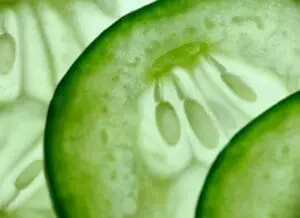 Sliced cucumber showing seeds and inner flesh with water droplets