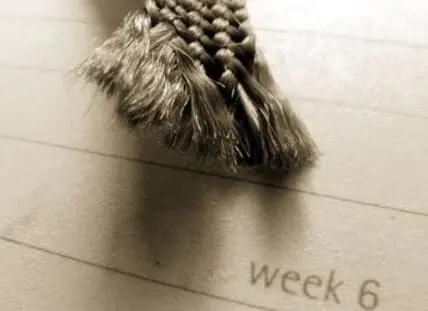 Braided hair with measurement marking labeled "week 6" on a light surface