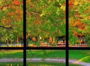 Autumn park view through window with colorful fall foliage and water feature