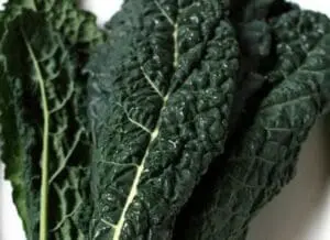 kale leaves