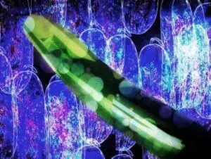 Fluorescent green pea pod against blue and purple bacterial background