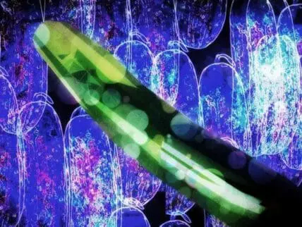 Fluorescent green pea pod against blue and purple bacterial background
