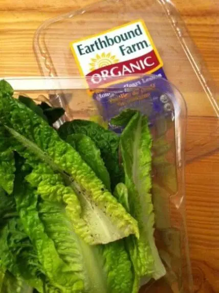 earthbound farm