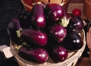 Fresh purple eggplants in a wooden basket