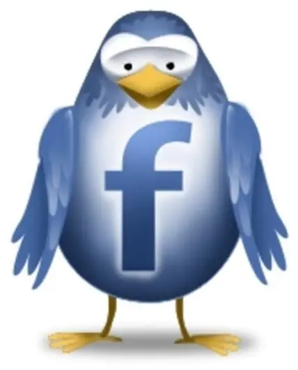 Blue bird mascot with Facebook logo on chest