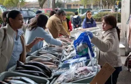 People shopping at outdoor fish market stall with fresh fish displayed
