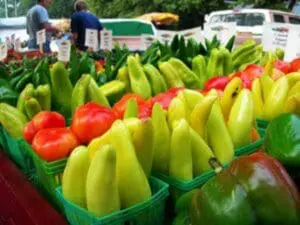 Fresh yellow squash and red peppers displayed at a farmers market stand