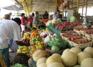 Farmers market stand with colorful fresh produce and shoppers browsing vegetables and fruits