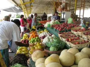Farmers market vendor stall displaying fresh local produce including melons, tomatoes, peppers, and