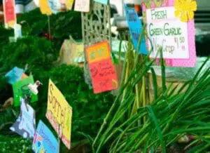 Fresh produce with price signs at a farmers market stand
