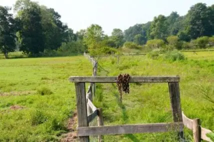 Rustic wooden gate opening to green pasture with trees in background