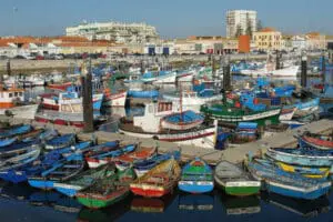 fishing boats