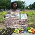 urban farming brings oasis to south carolina food desert