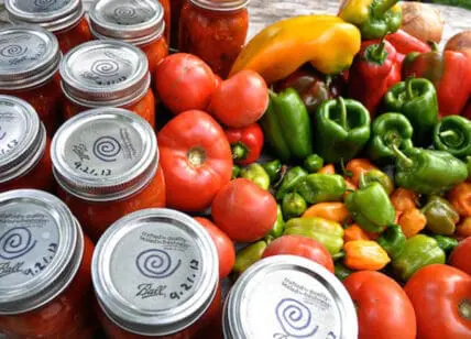 fresh salsa ingredients