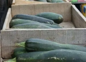 Fresh zucchini and eggplants in wooden crates at a farmers market