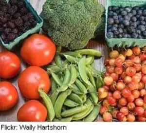 Fresh produce including tomatoes, broccoli, green beans, berries, and gooseberries at a farmers
