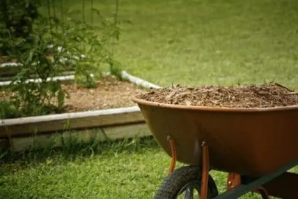 15 Things You Need to Know About Mulch