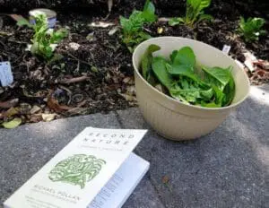 garden book