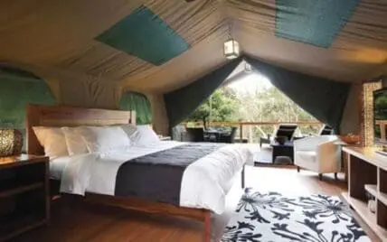 Create glamping deocr in your home.