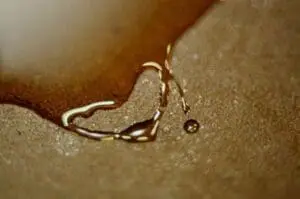 Grapeseed oil droplet on textured surface