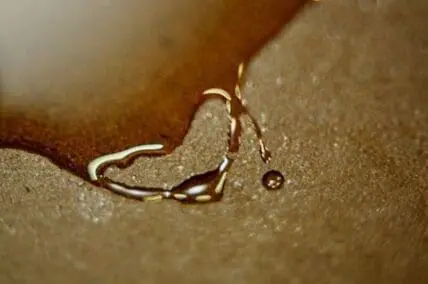 Grapeseed oil droplet on textured surface