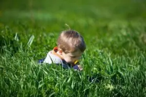 Toddler crawling through grass and dandelions outdoors