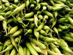 Fresh green beans clustered together at a farmer's market or produce stand