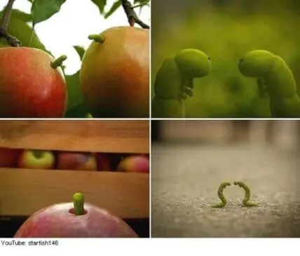 Apple stems arranged to resemble kissing worms