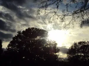 Sunrise breaking through silhouetted trees with dramatic clouds